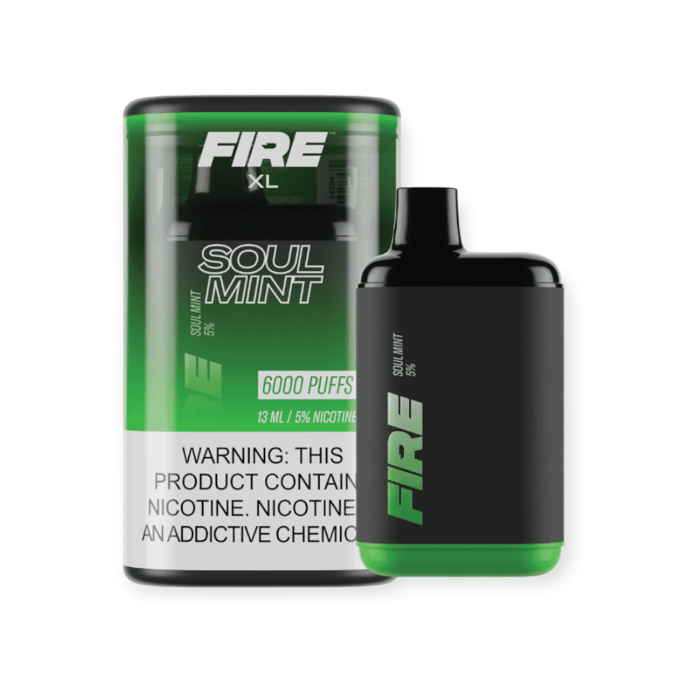 FIRE XL 5% NIC 6000 PUFFS DISPOSABLE - SOUL MINT