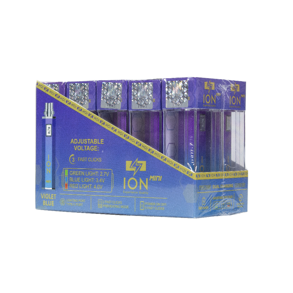 ION 500 mAH MINI BATTERY- VIOLET BLUE