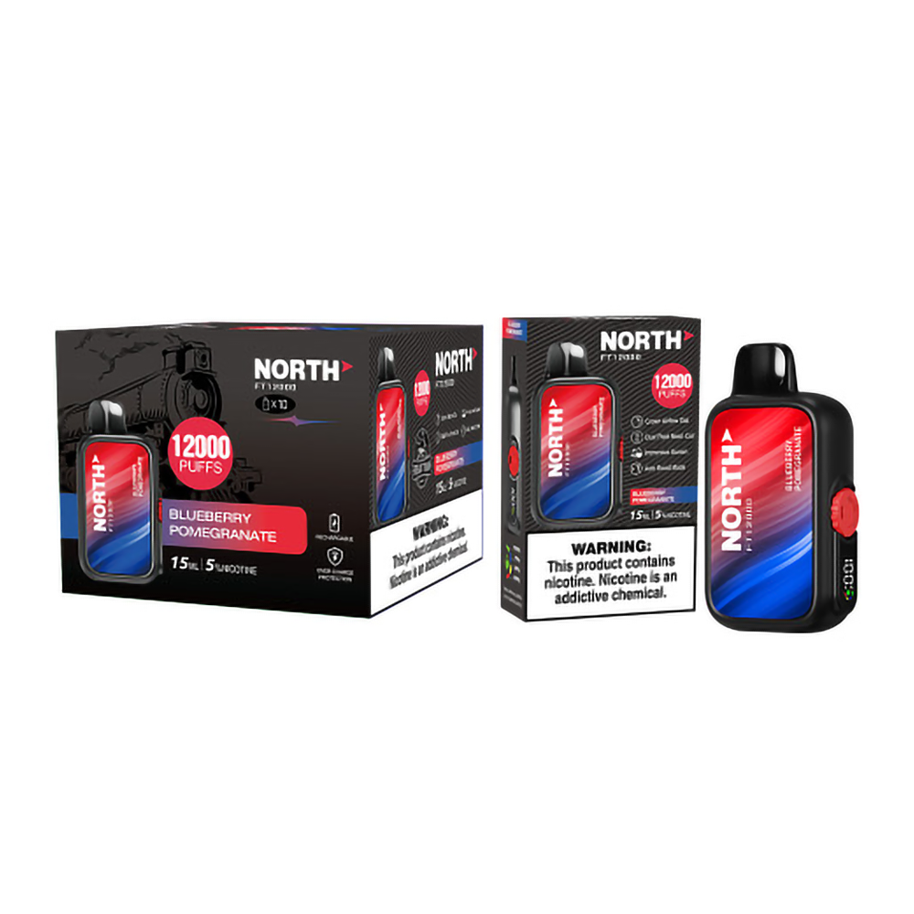 NORTH FT12000 PUFFS 5% NIC DISPOSABLE - BLUEBERRY LEMON