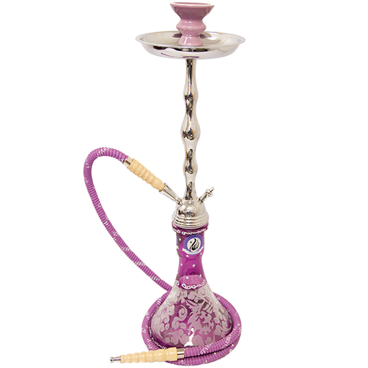 STARBUZZ ECONOKAH HOOKAH - PURPLE