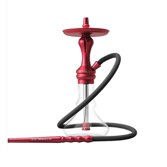STARBUZZ MINI HOOKAH - MARSALA RED