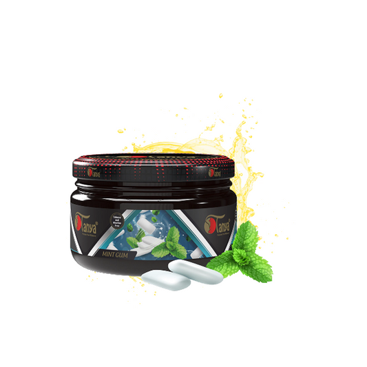 TANYA NON-TOBACCO 250G - MINT GUM
