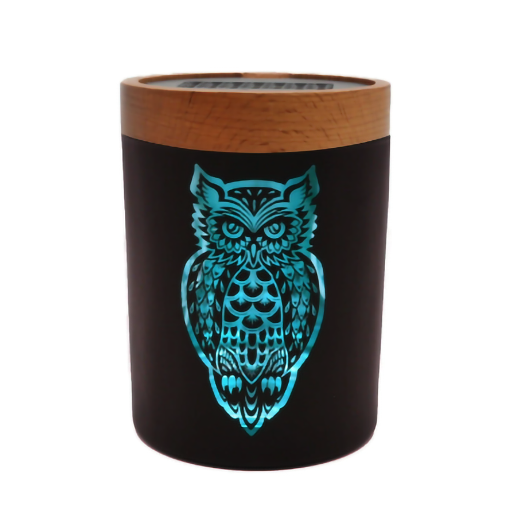 V SYNDICATE LARGE  SOLE STASH  - OWLLUSION TURQUOISE