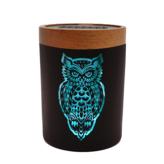 V SYNDICATE LARGE  SOLE STASH  - OWLLUSION TURQUOISE