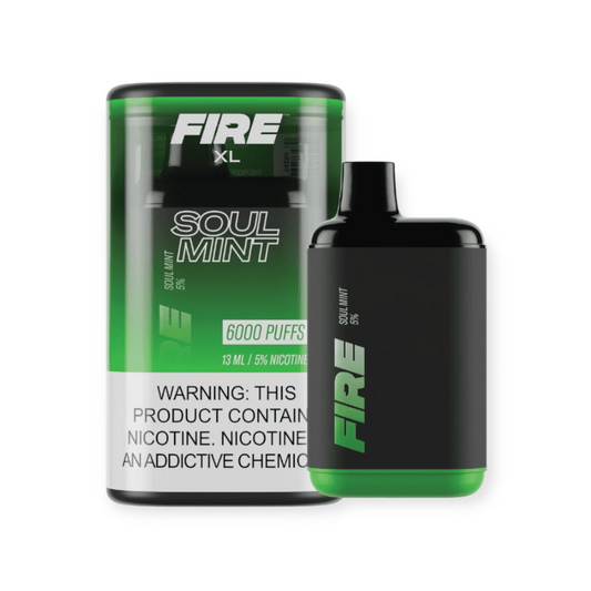 FIRE XL 5% NIC 6000 PUFFS DISPOSABLE - SOUL MINT