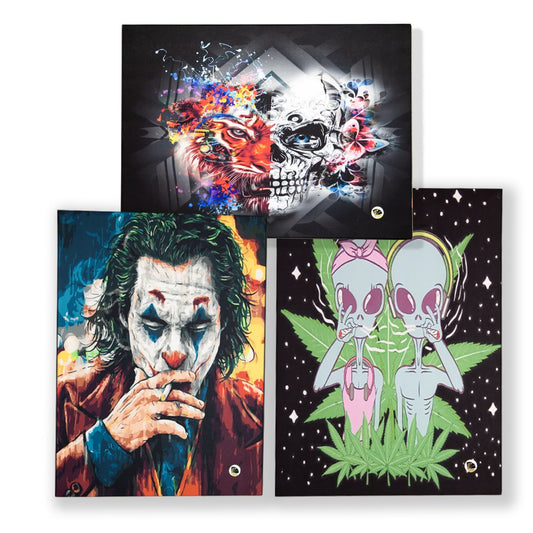 CANVAS POSTERS W/LIGHT -ASSORTED