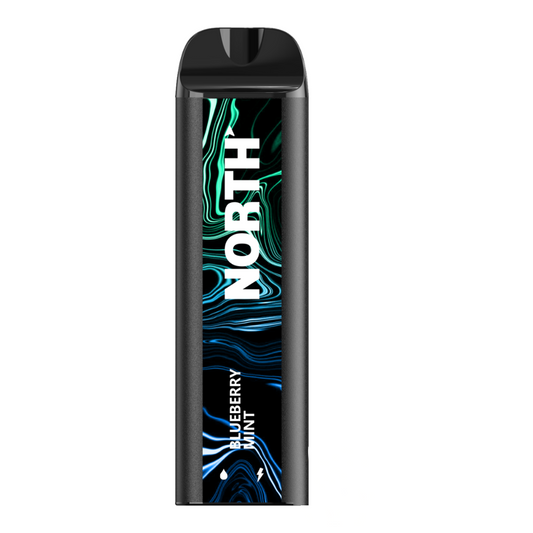 NORTH 5000PUFFS 5% NIC DISPOSABLE - BLUEBERRY MINT