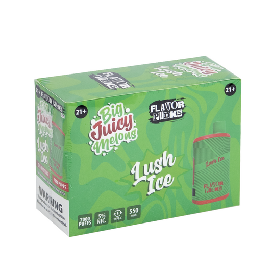 FLAVOR PUNKS 5% NIC DISPOSABLE - LUSH ICE