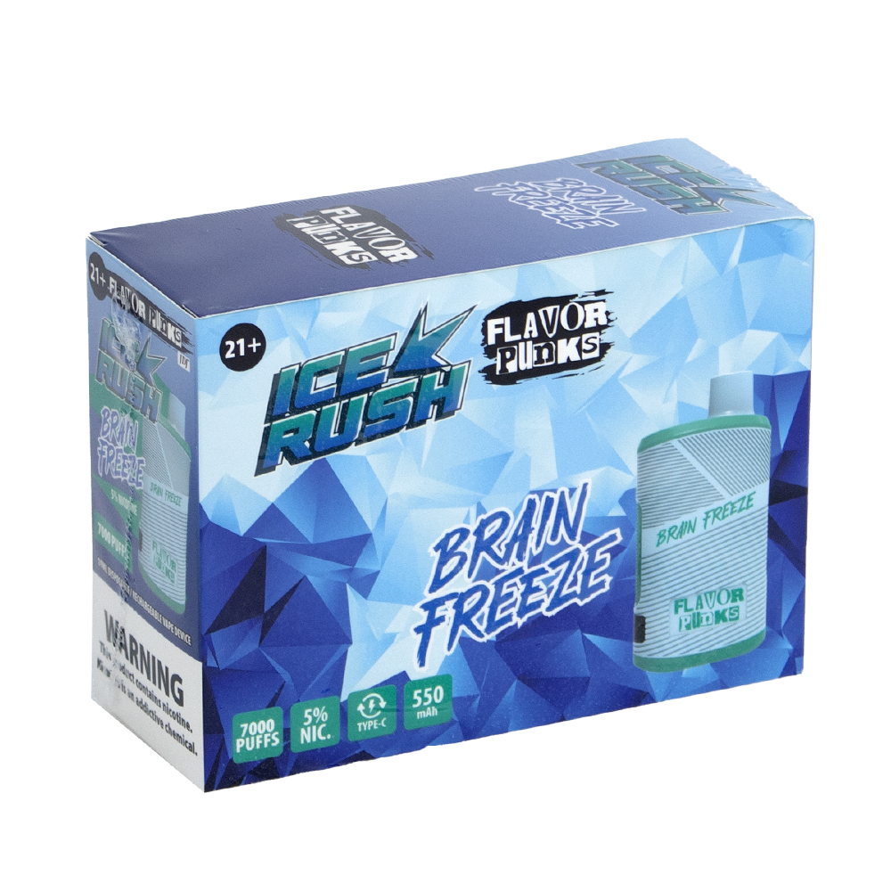 FLAVOR PUNKS 5% NIC DISPOSABLE - BRAIN FREEZE