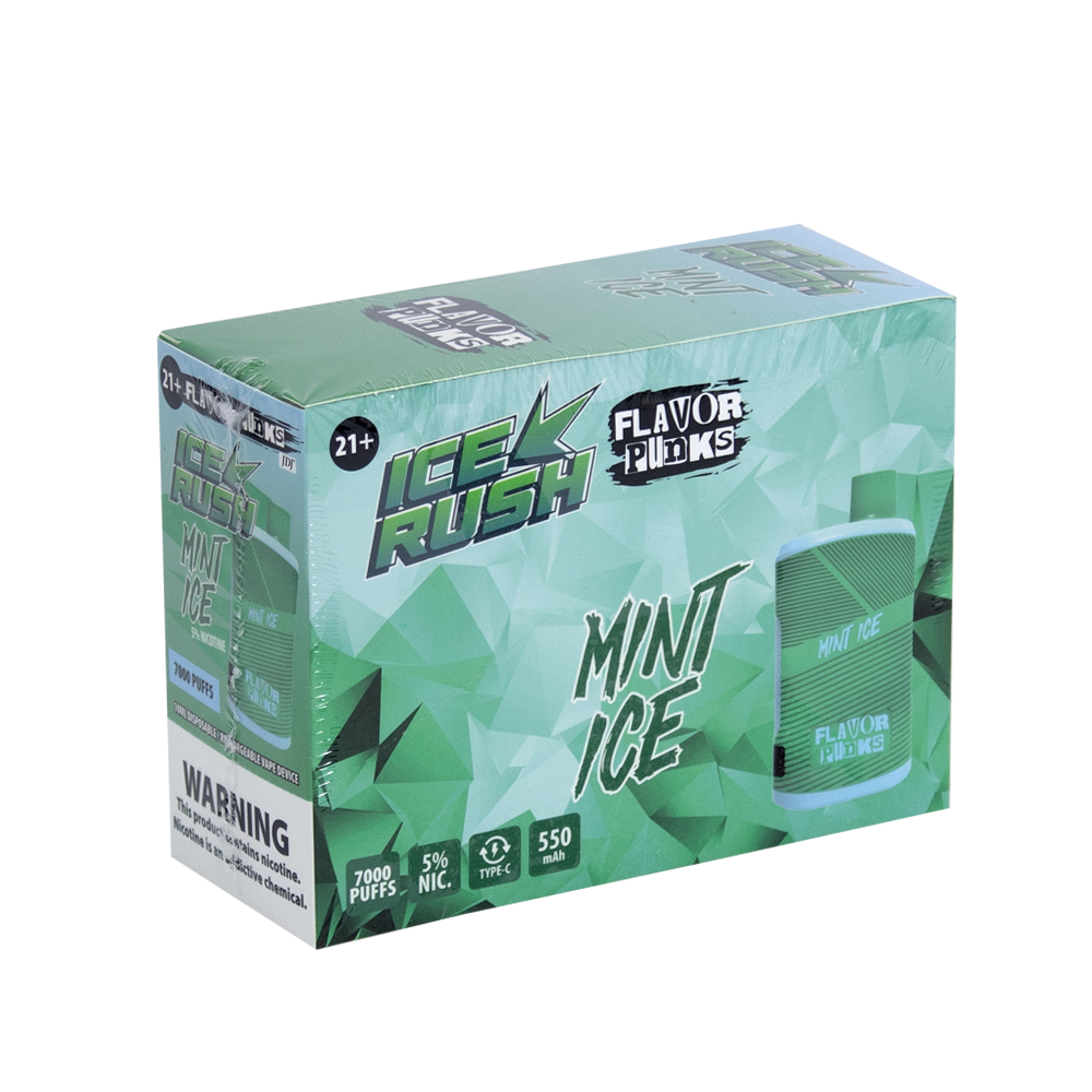 FLAVOR PUNKS 5% NIC DISPOSABLE - MINT ICE
