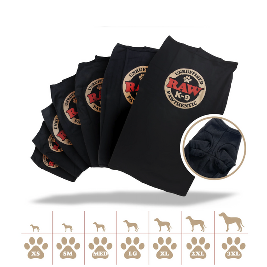 RAW PET RINGER SHIRT - LARGE