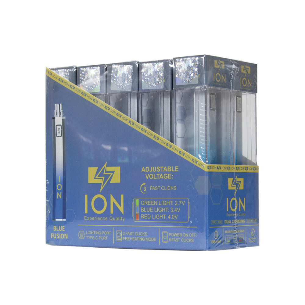 ION 1100 mAH BATTERY- BLUE FUSION