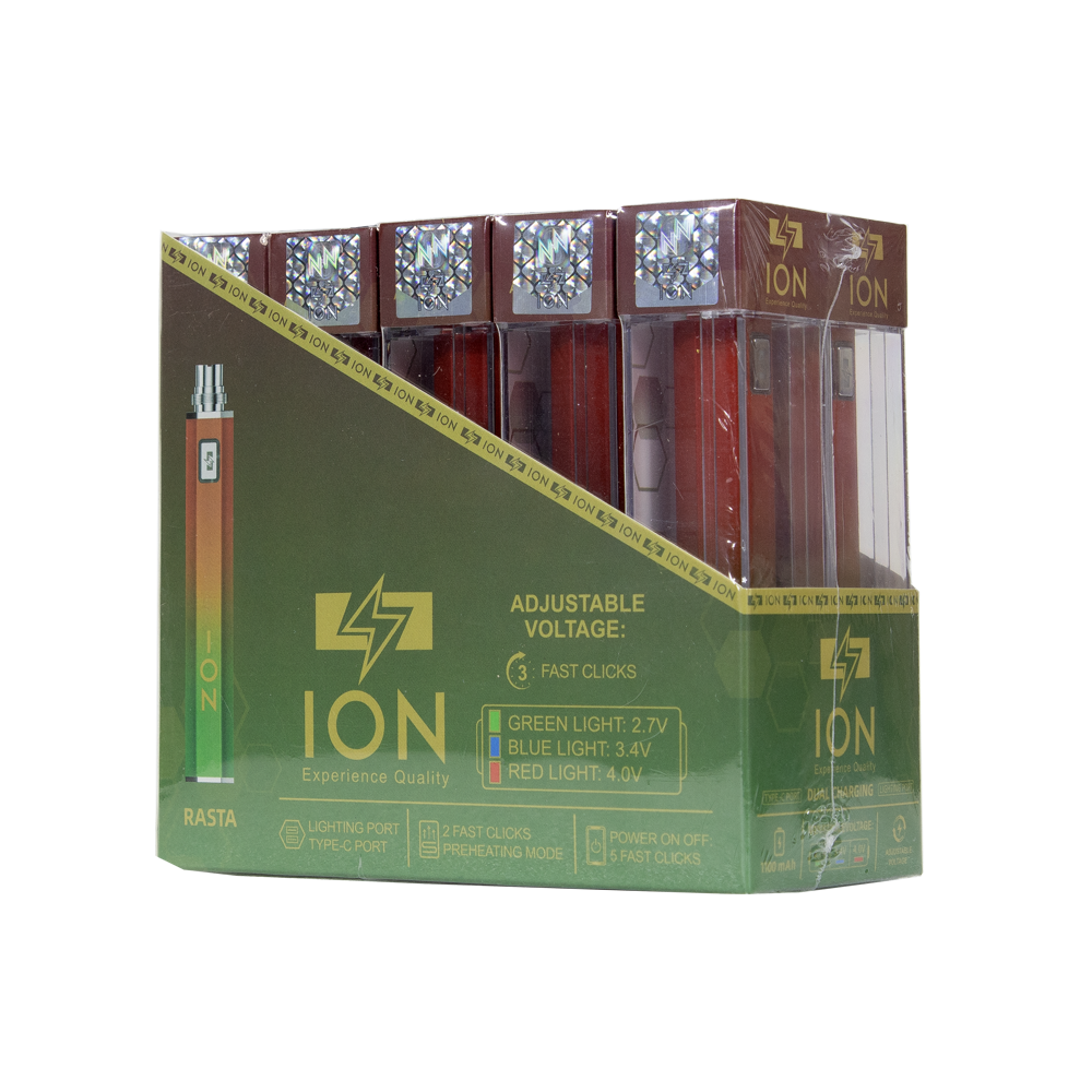 ION 1100 mAH BATTERY- RASTA