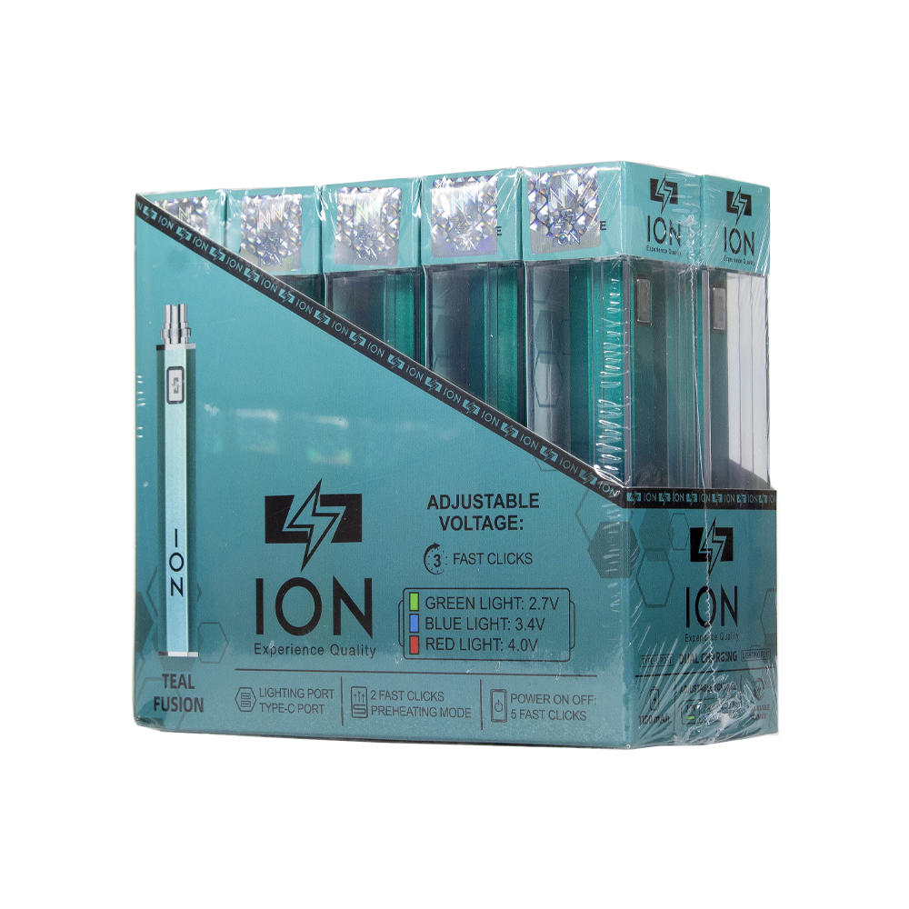 ION 1100 mAH BATTERY- TEAL FUSION