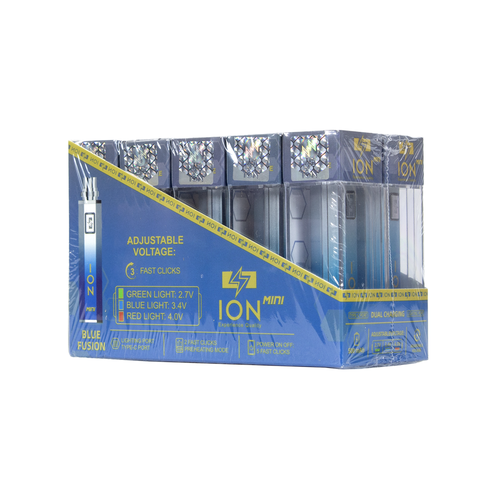 ION 500 mAH MINI BATTERY- BLUE FUSION