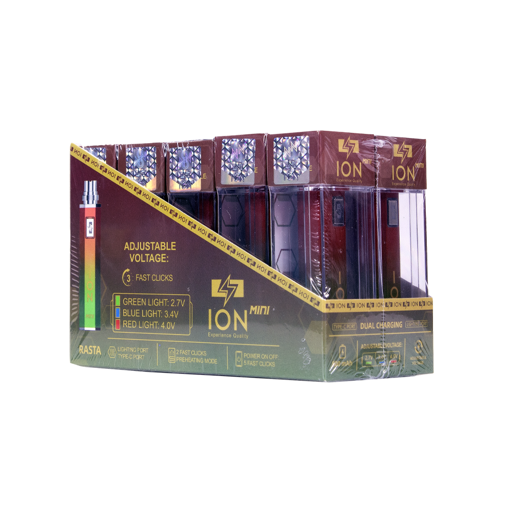 ION 500 mAH MINI BATTERY- RASTA
