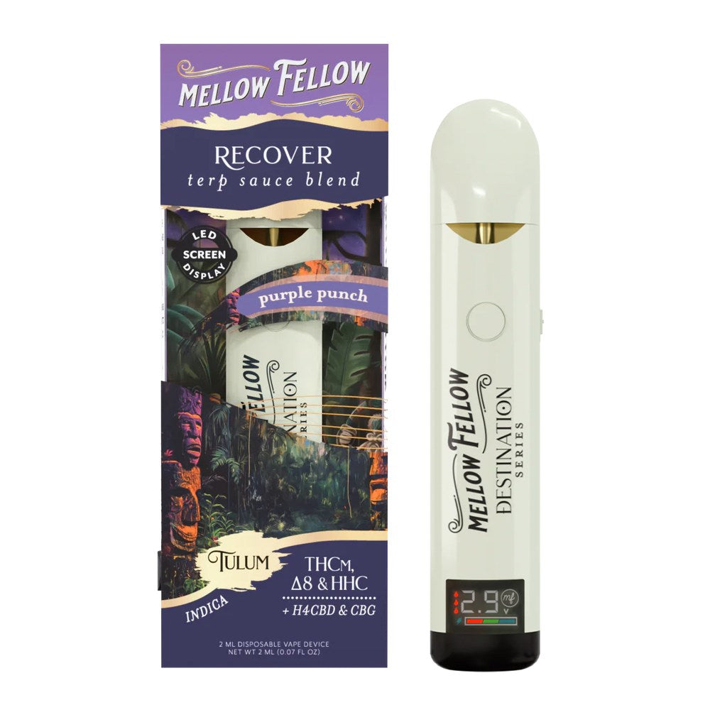 MELLOW FELLOW 2ML RECOVER BLEND DISPOSABLE TULUM - PURPLE PUNCH POP