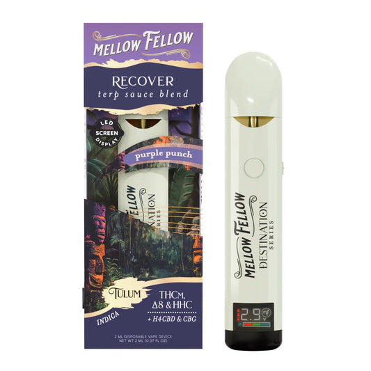 MELLOW FELLOW 2ML RECOVER BLEND DISPOSABLE TULUM - PURPLE PUNCH POP