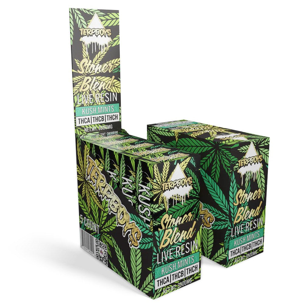 TERPBOY STONER BLEND 3G DISPOSABLE - KUSH MINT