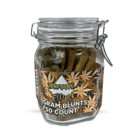 TERPBOYS THCA 2G BLUNTS SATIVA - ORANGE COOKIES