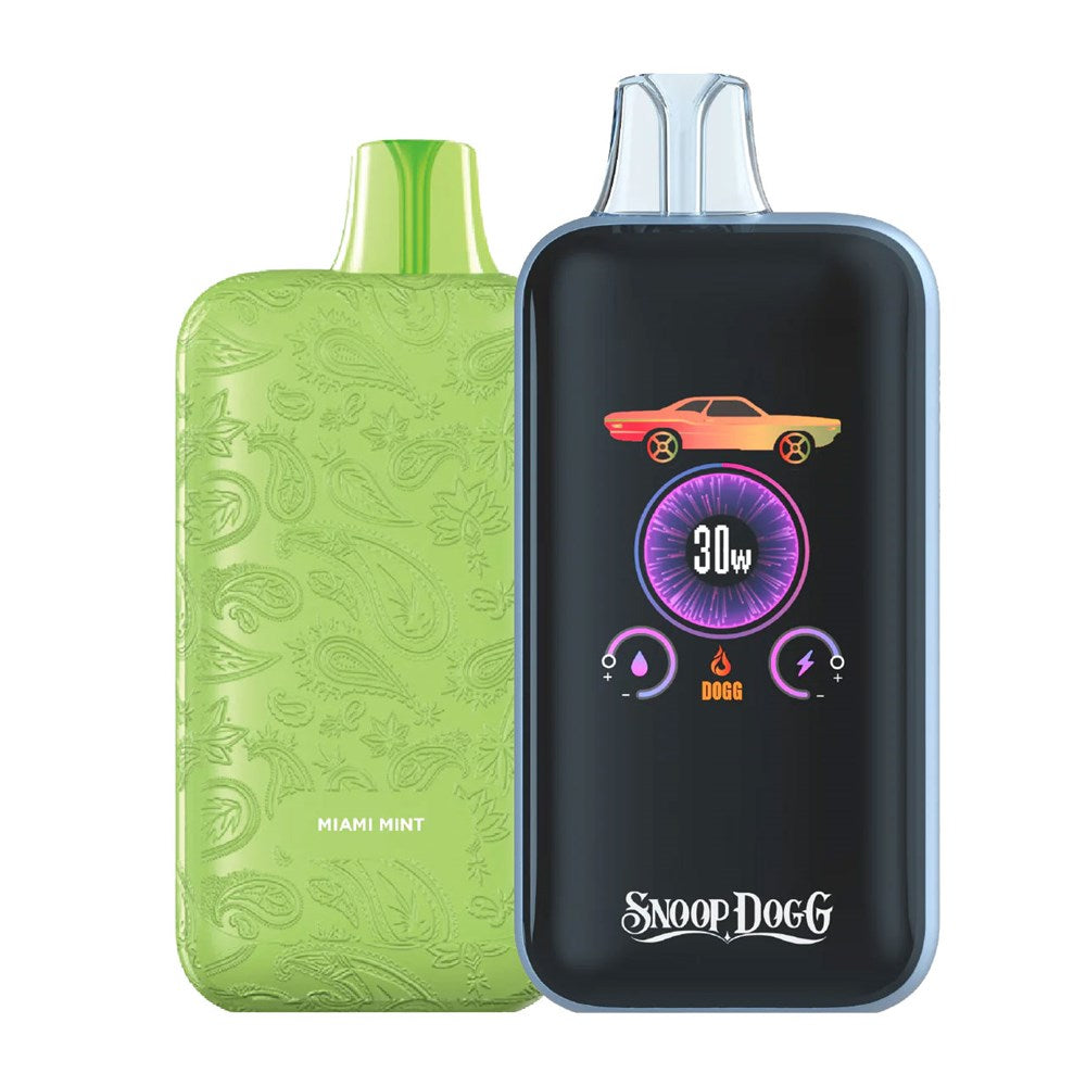SNOOP DOGG LOW RIDER 5%NIC 25KPUFFS DISPOSABLE - MIAMI MINT