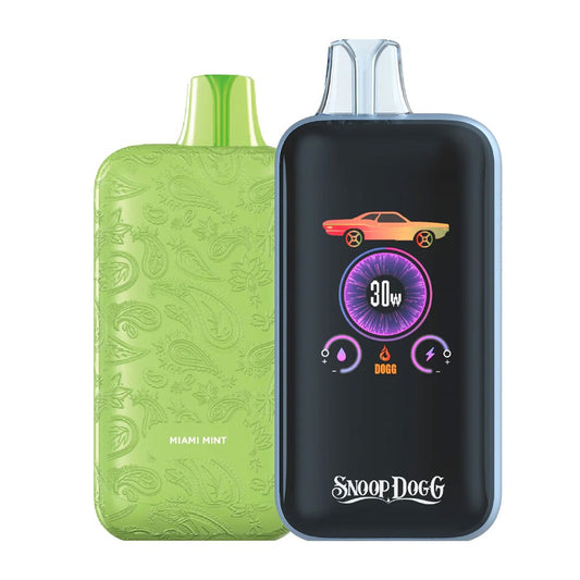 SNOOP DOGG LOW RIDER 5%NIC 25KPUFFS DISPOSABLE - MIAMI MINT