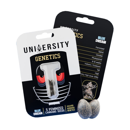 UNIVERSITY GENETICS FEMINIZED CANNABIS SEEDS - BLUE DREAM