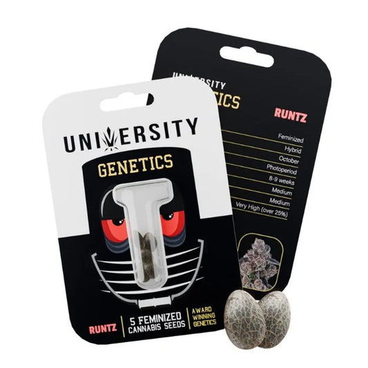 UNIVERSITY GENETICS FEMINIZED CANNABIS SEEDS - RUNTZ
