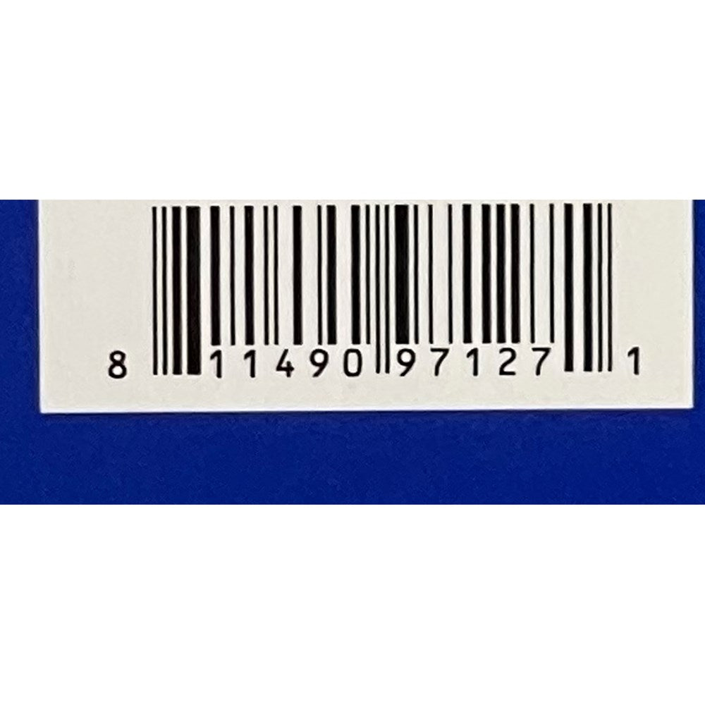 SPECIAL BLUE BROILER TORCH - SILVER